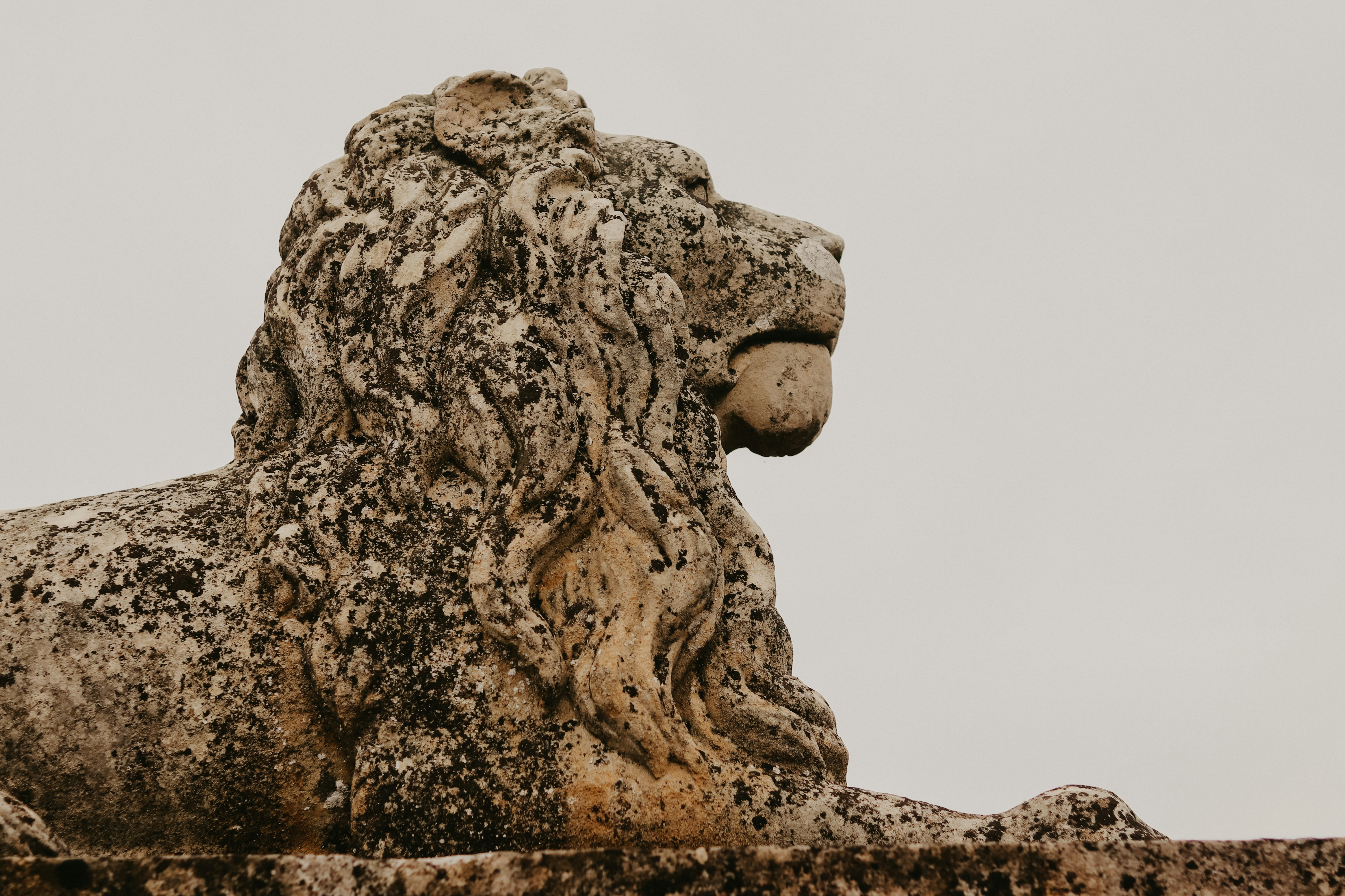 Photo by honeypoppet