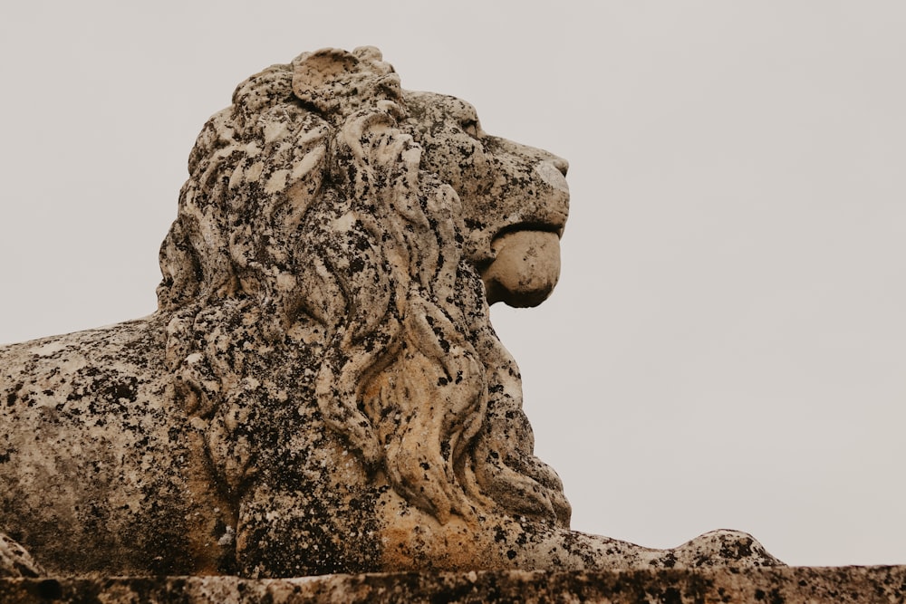 a statue of a lion is shown against a gray sky