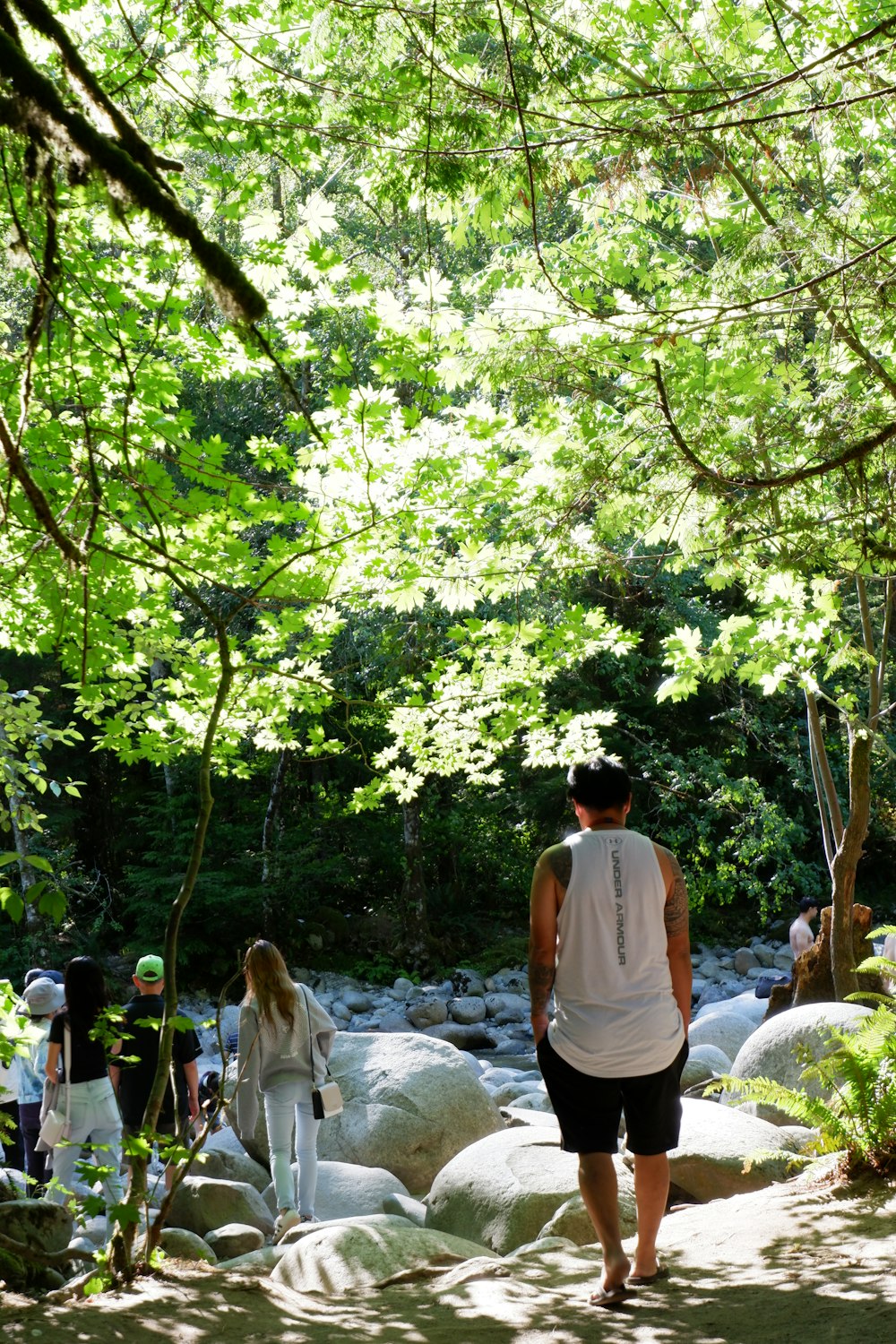 a group of people walking through a lush green forest