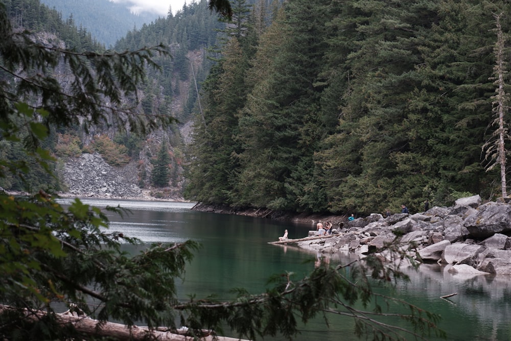 Un par de personas de pie en la cima de un río junto a un bosque