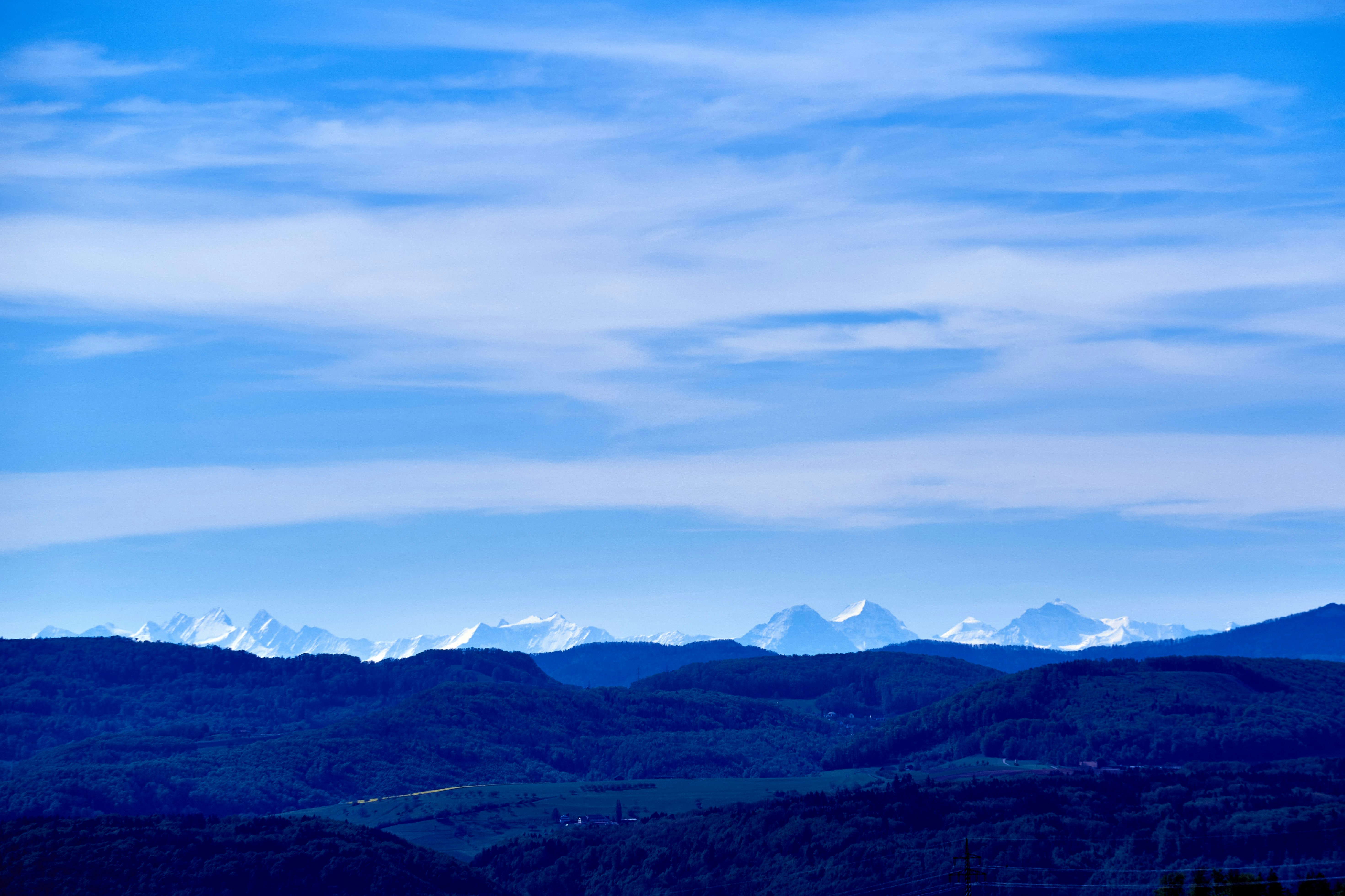 Photo by wolfgang_hasselmann