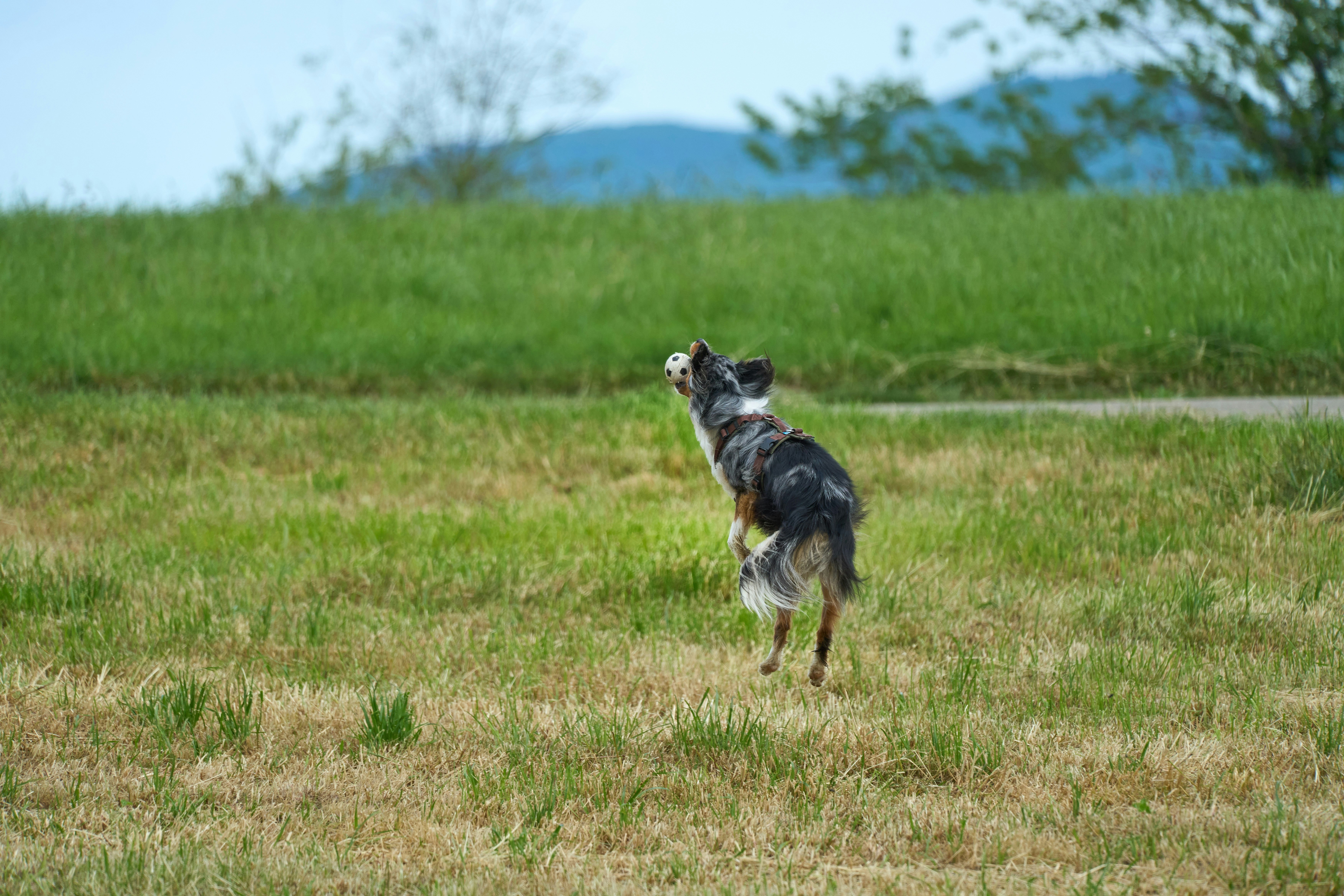 Photo by wolfgang_hasselmann