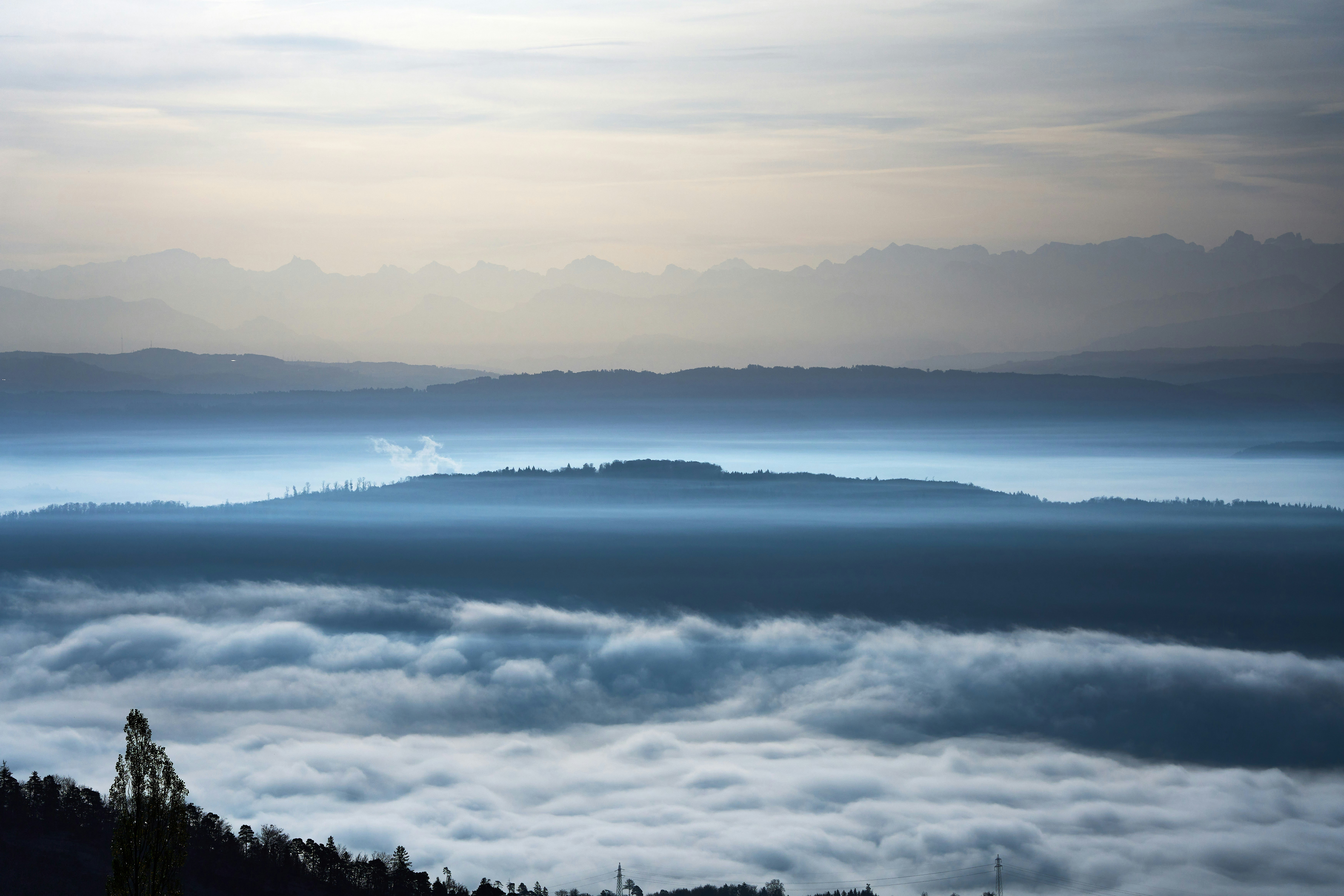 Photo by wolfgang_hasselmann