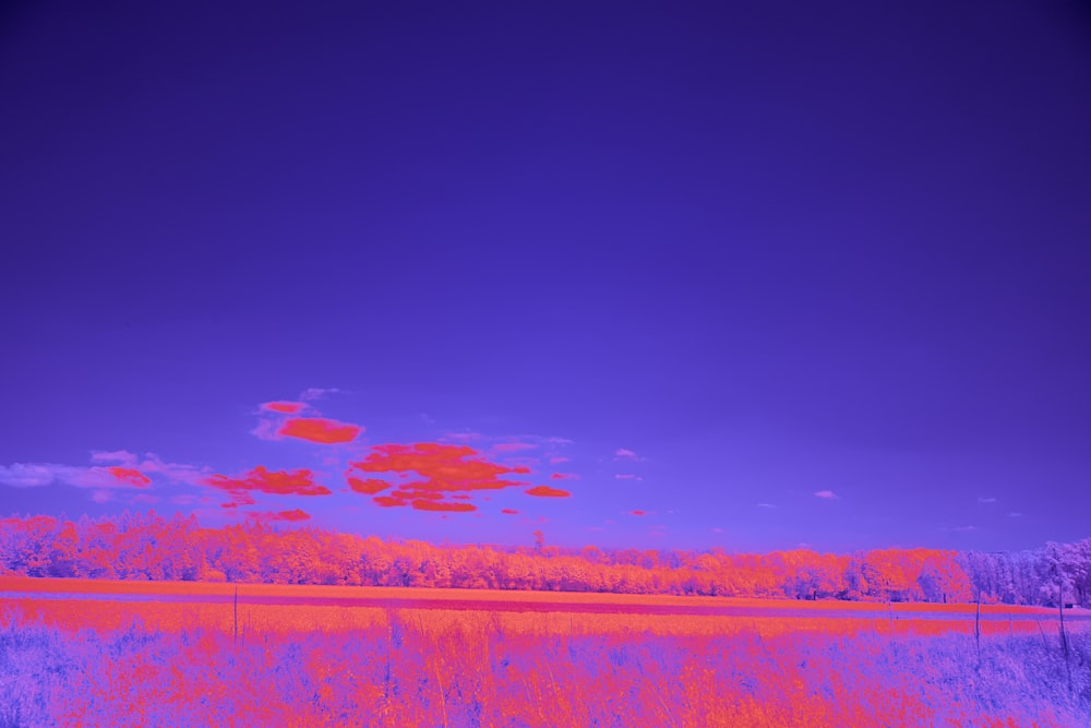 a red and purple photo of a field