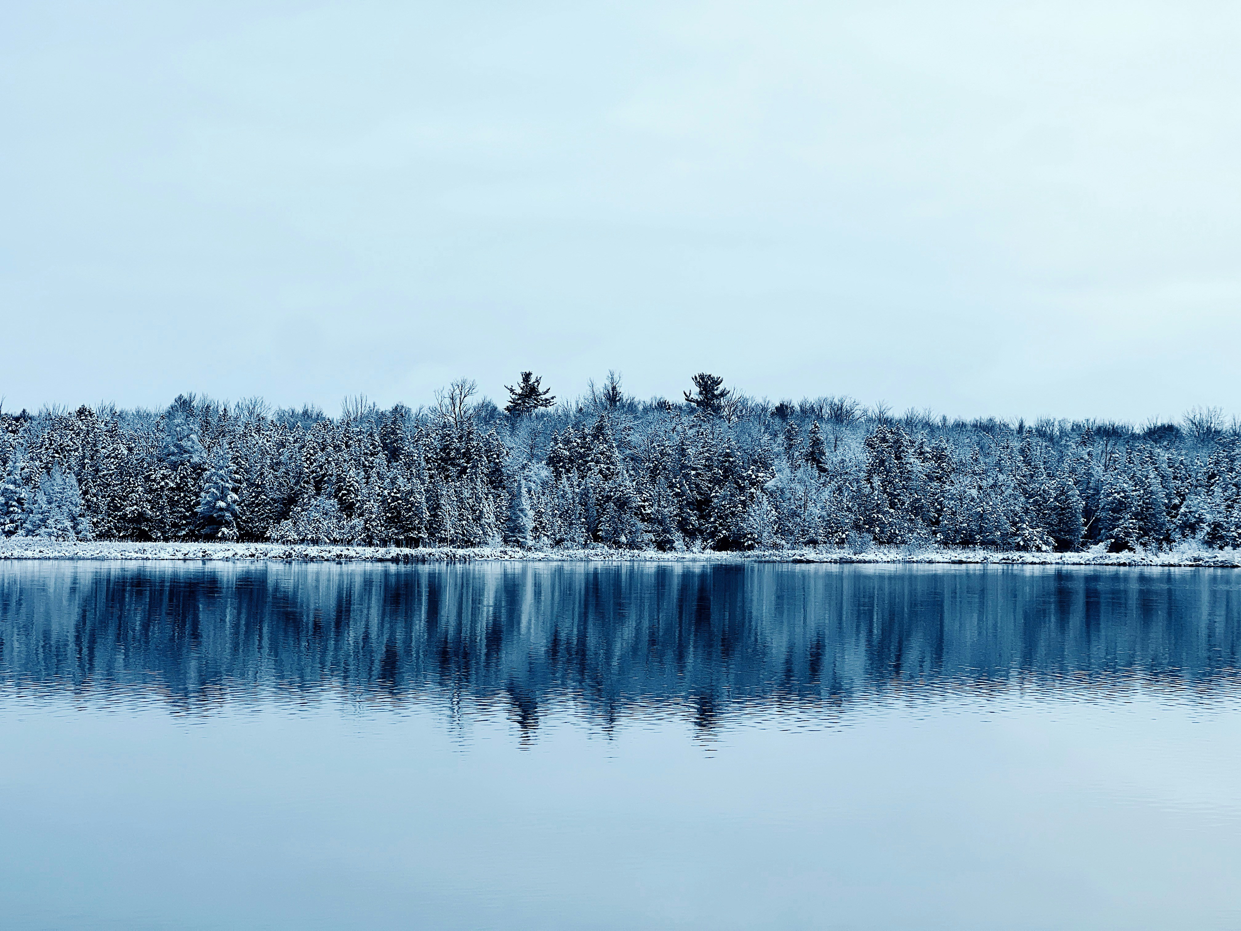 a large body of water surrounded by snow covered trees, Snowy Lake in Michigan