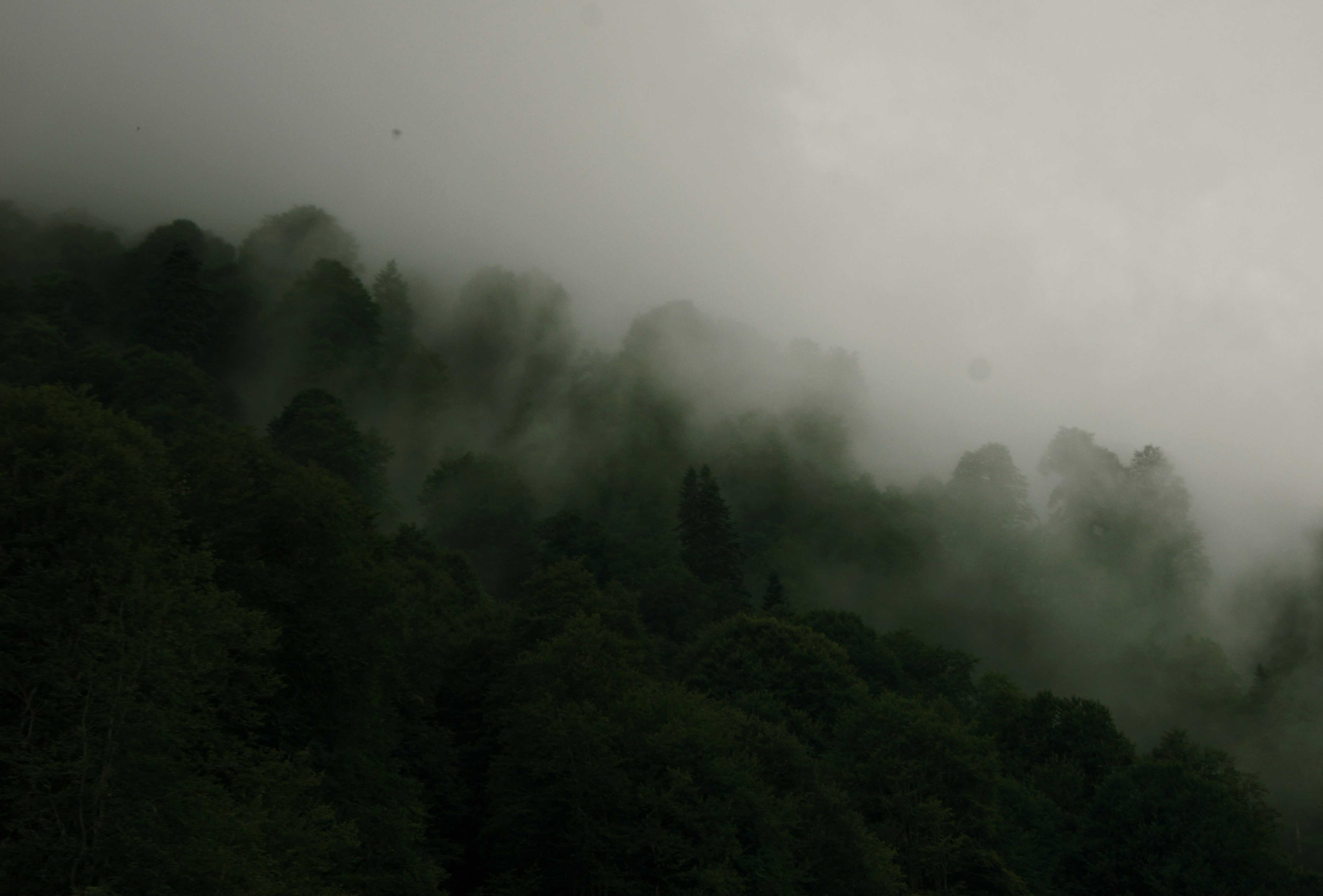 Photo by mrstupachenko