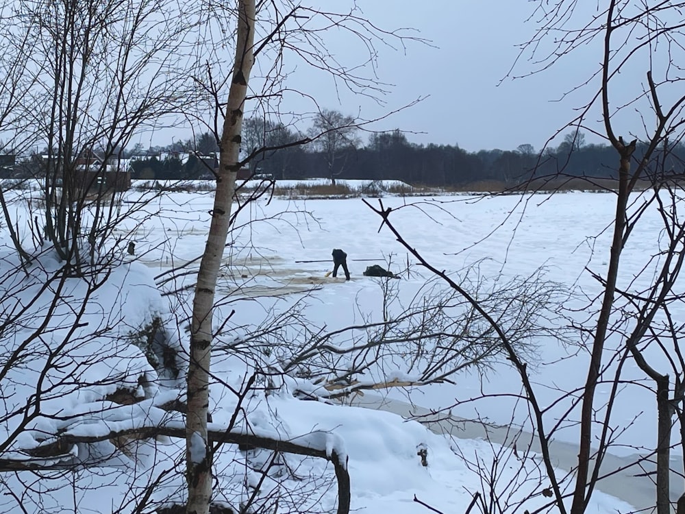 a couple of birds standing on top of a snow covered field