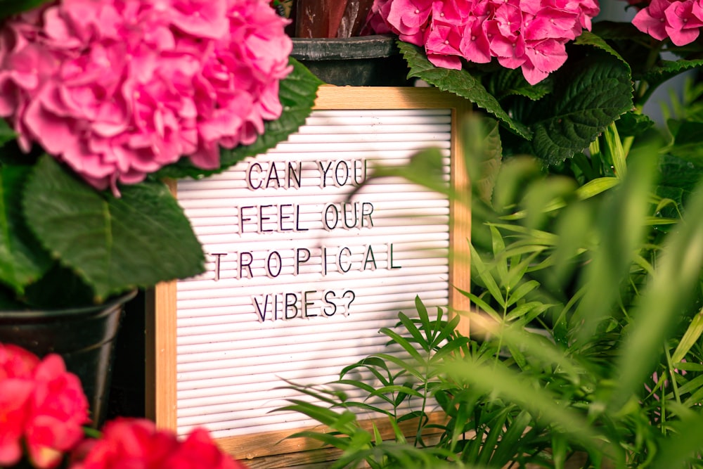 a sign that says can you feel our tropical vibes?