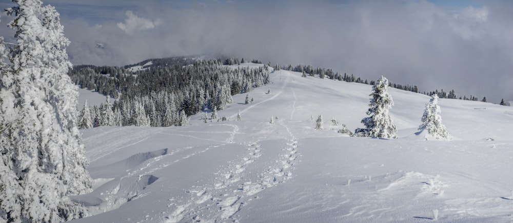 a snow covered ski slope with trees and clouds in the background