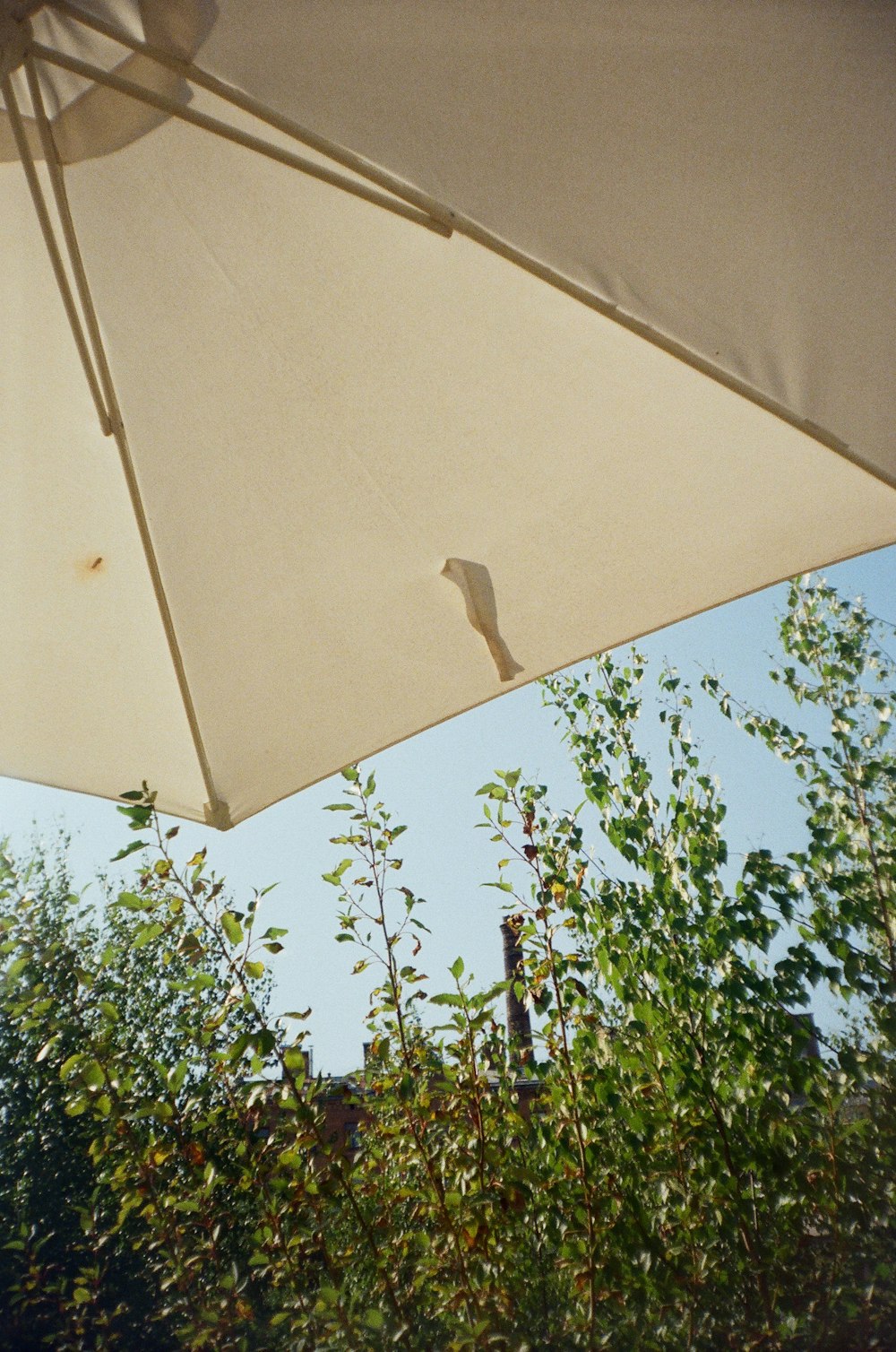 a close up of an umbrella with trees in the background