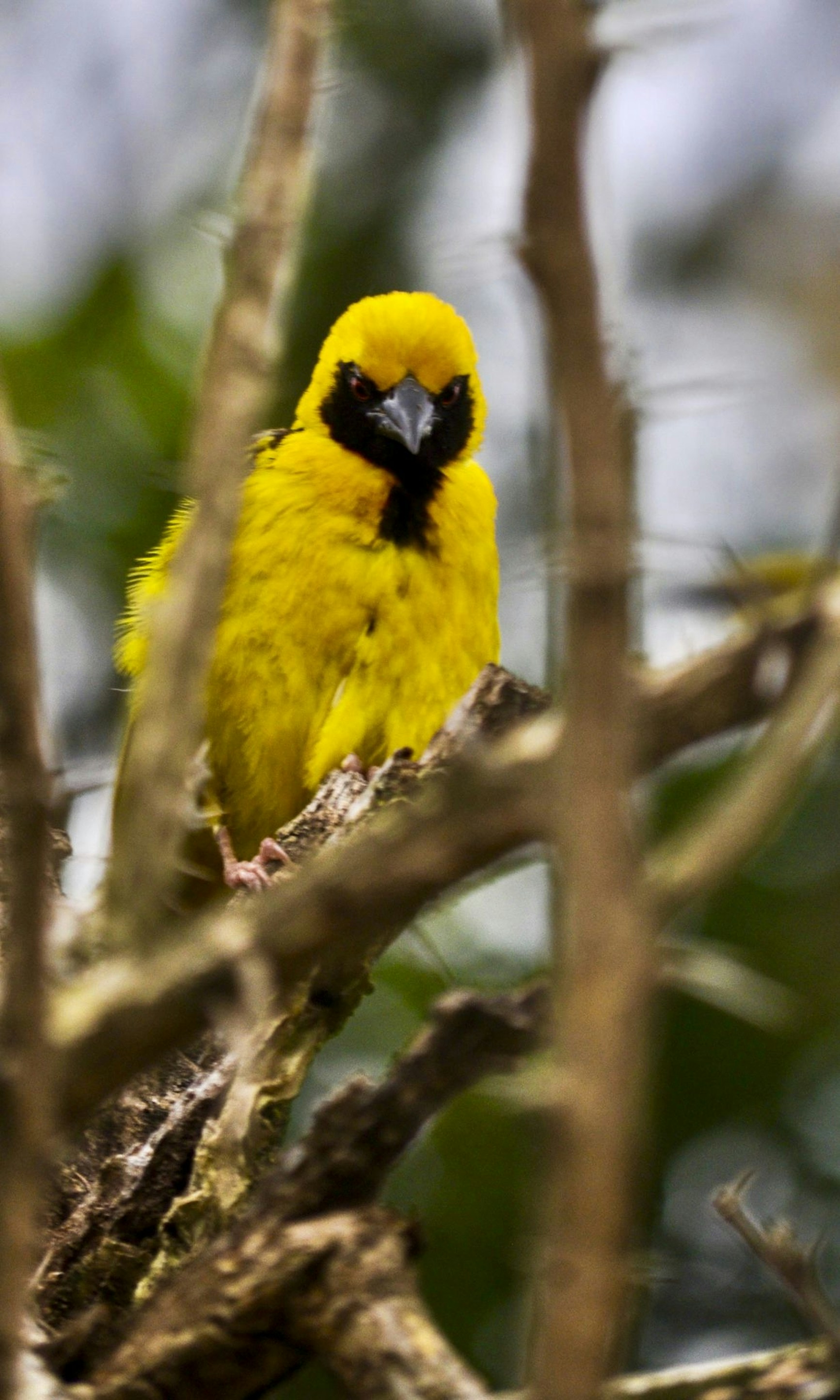 Photo by kylewaterston