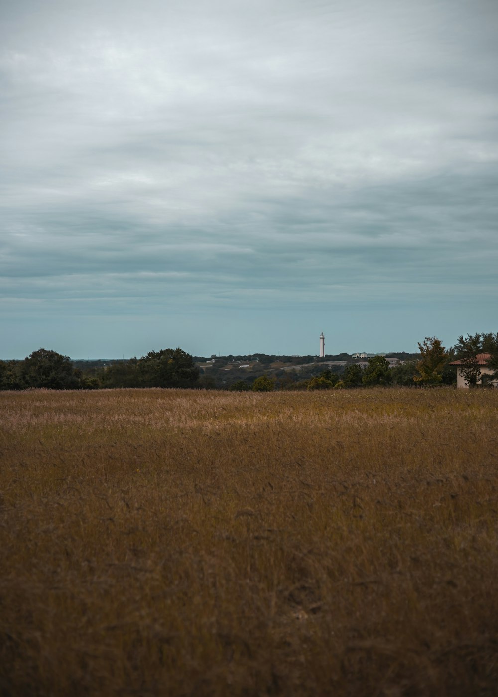 a large field with a house in the distance