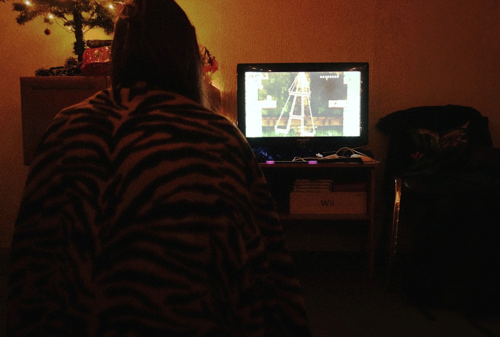 a person sitting in front of a television playing a video game