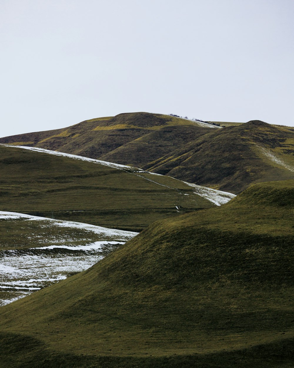 a couple of sheep standing on top of a lush green hillside