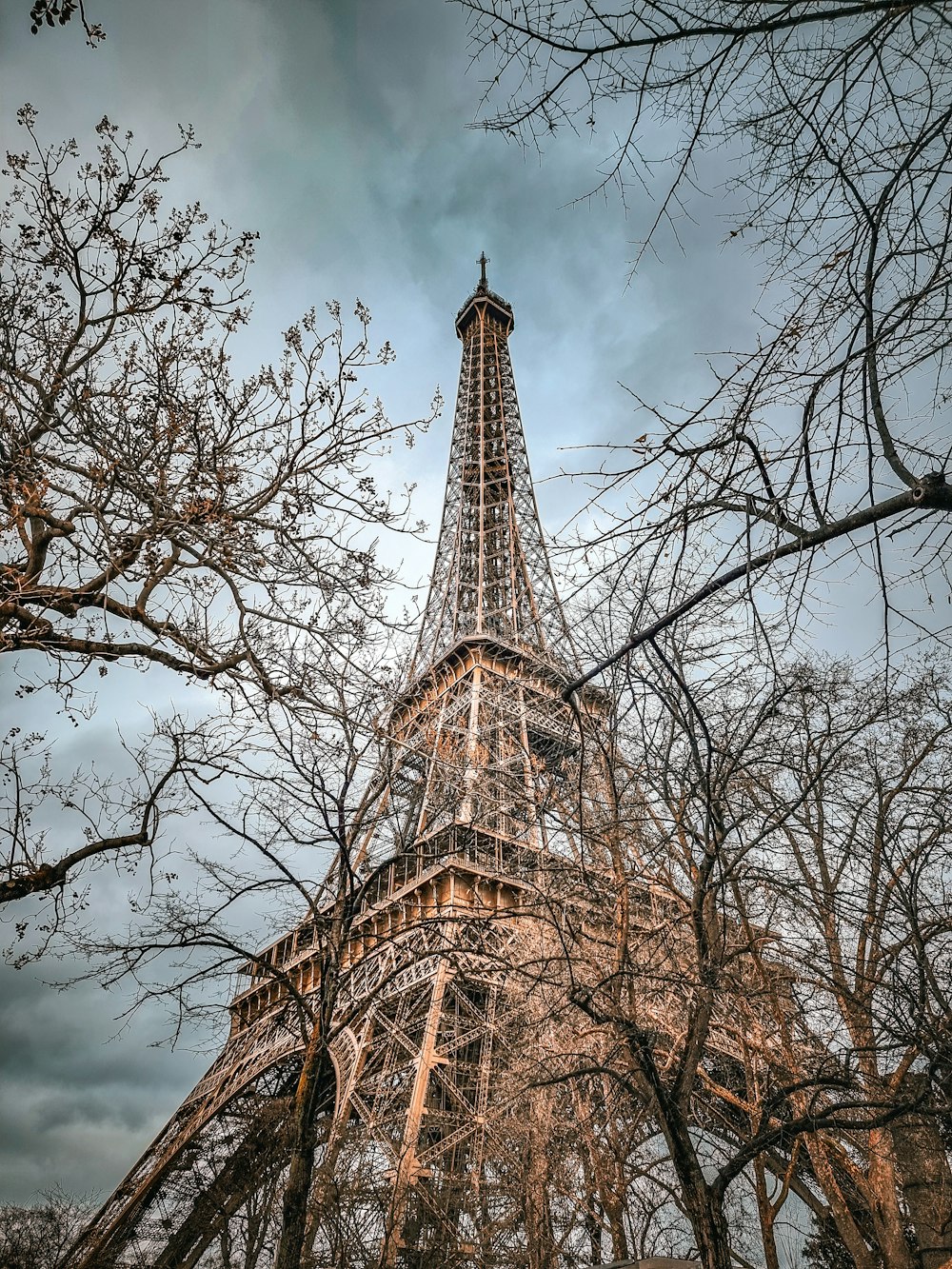 the eiffel tower is surrounded by bare trees