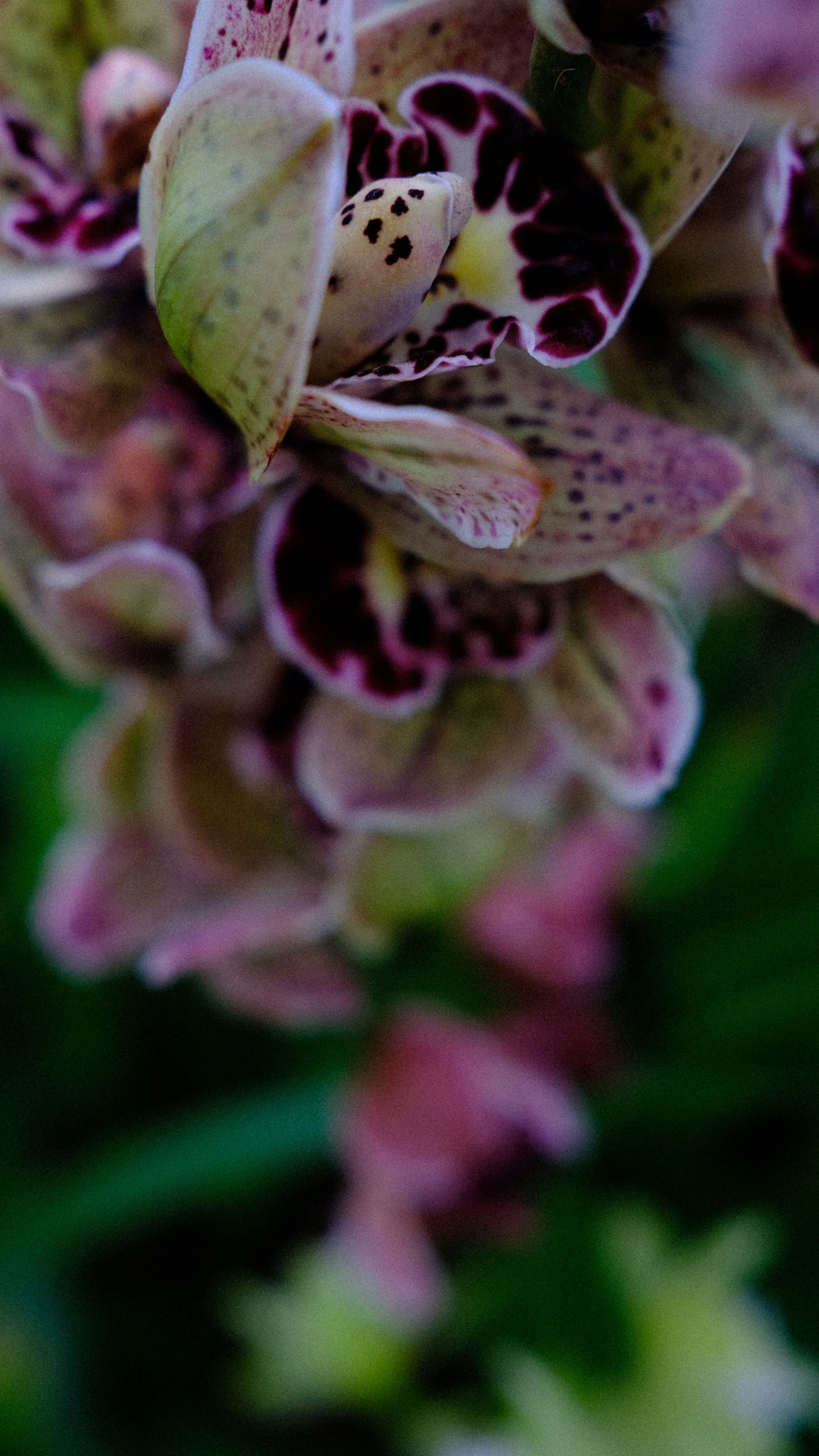 Photo by fromary