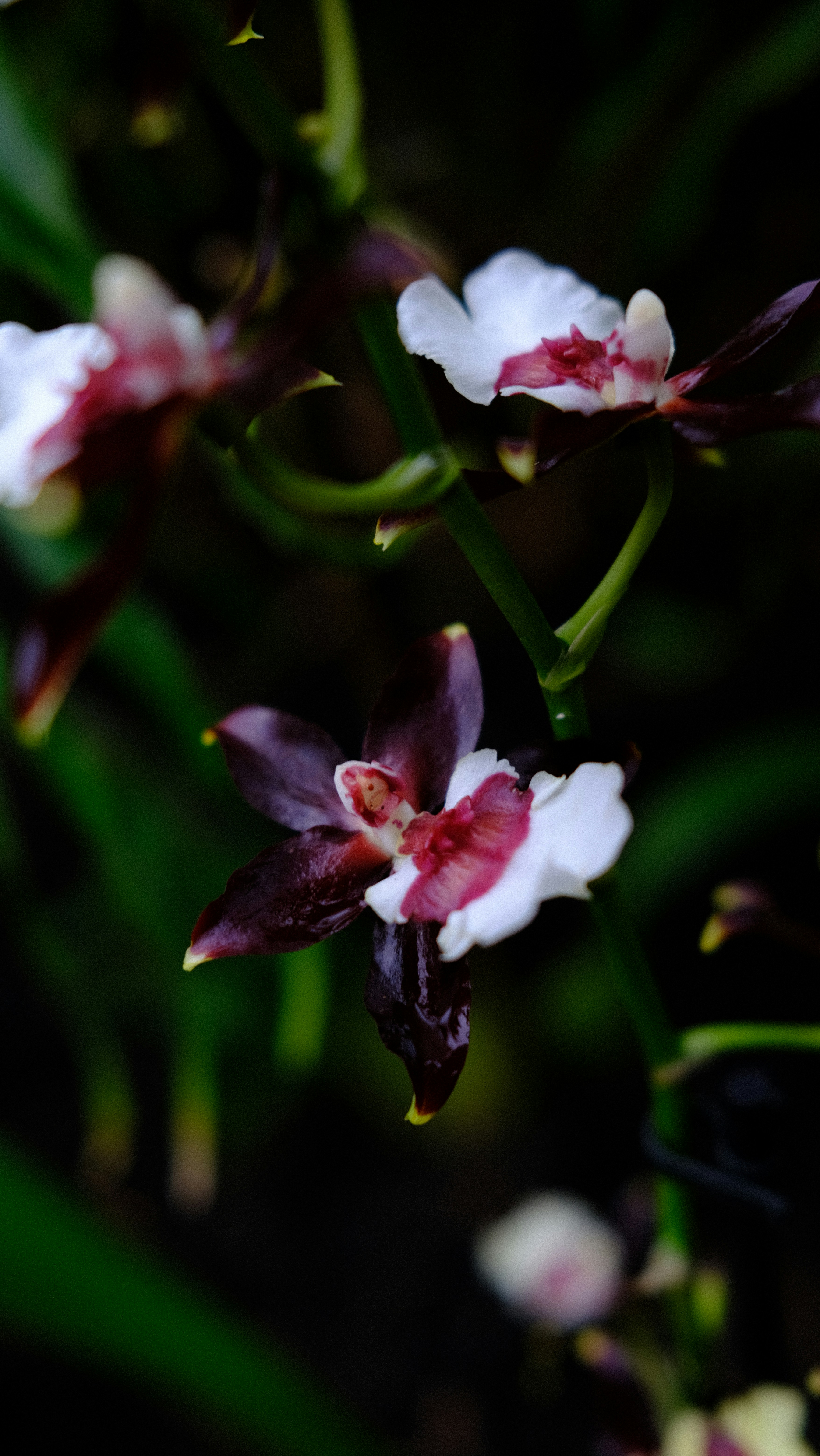 Photo by fromary