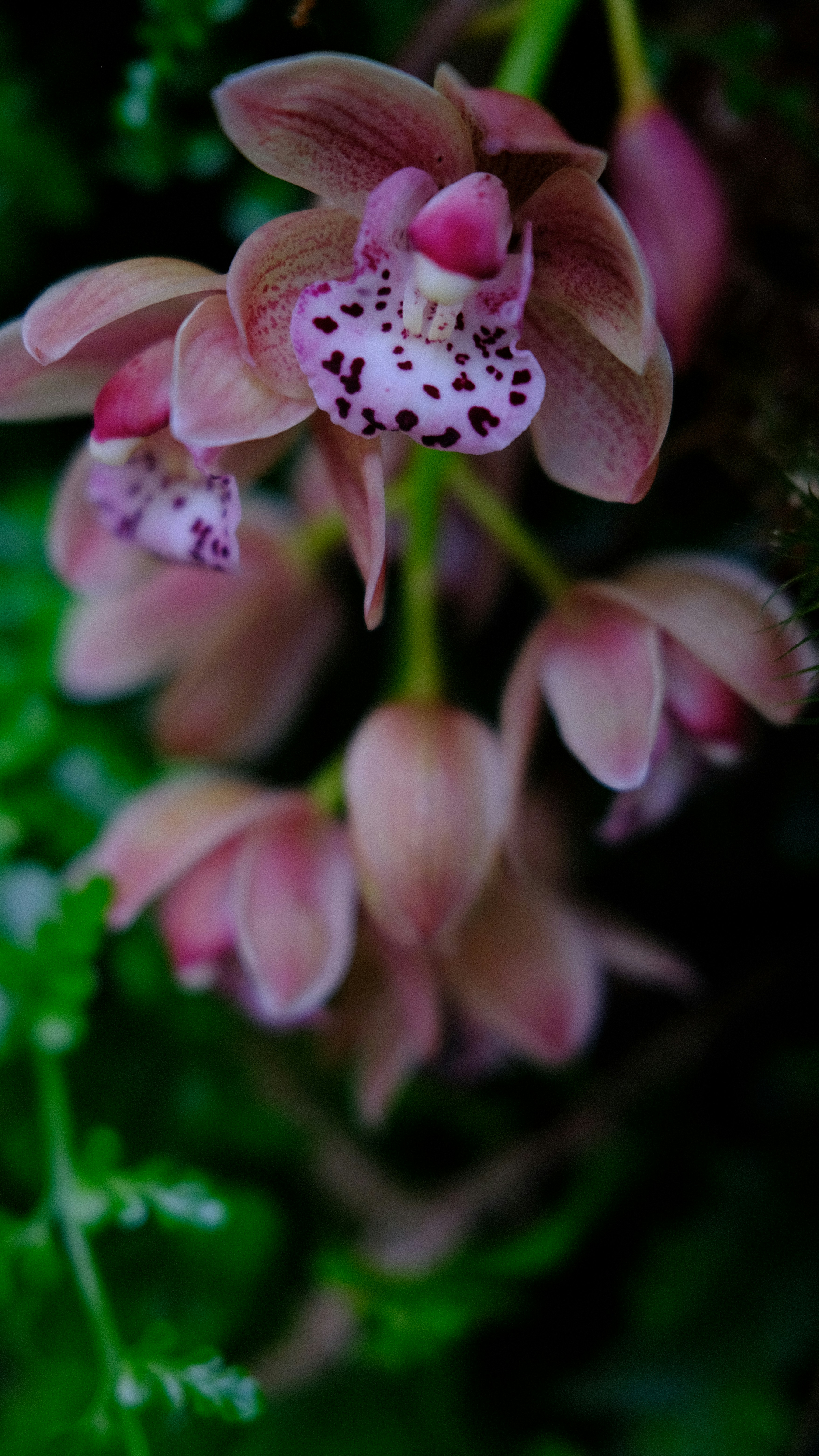 Photo by fromary