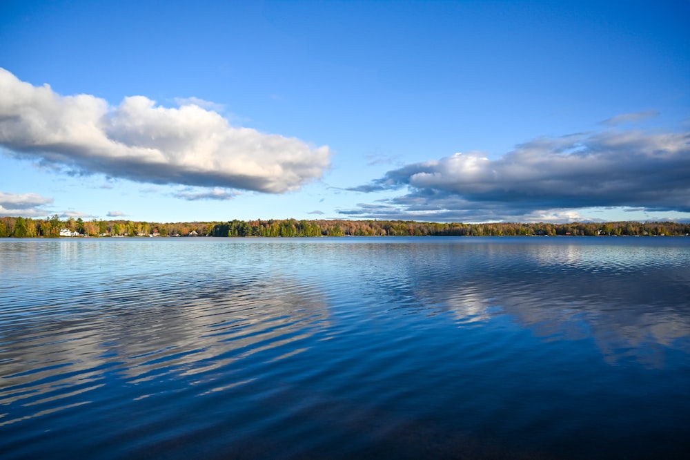 a large body of water surrounded by trees