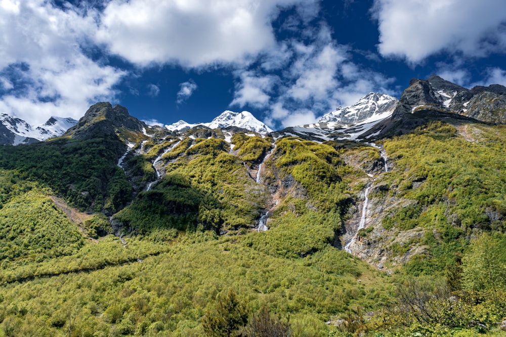 a lush green valley with a mountain in the background