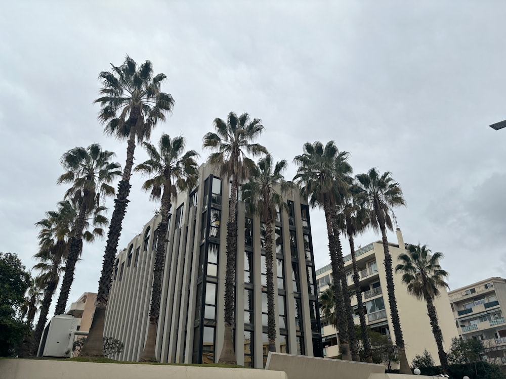 a tall building with palm trees in front of it