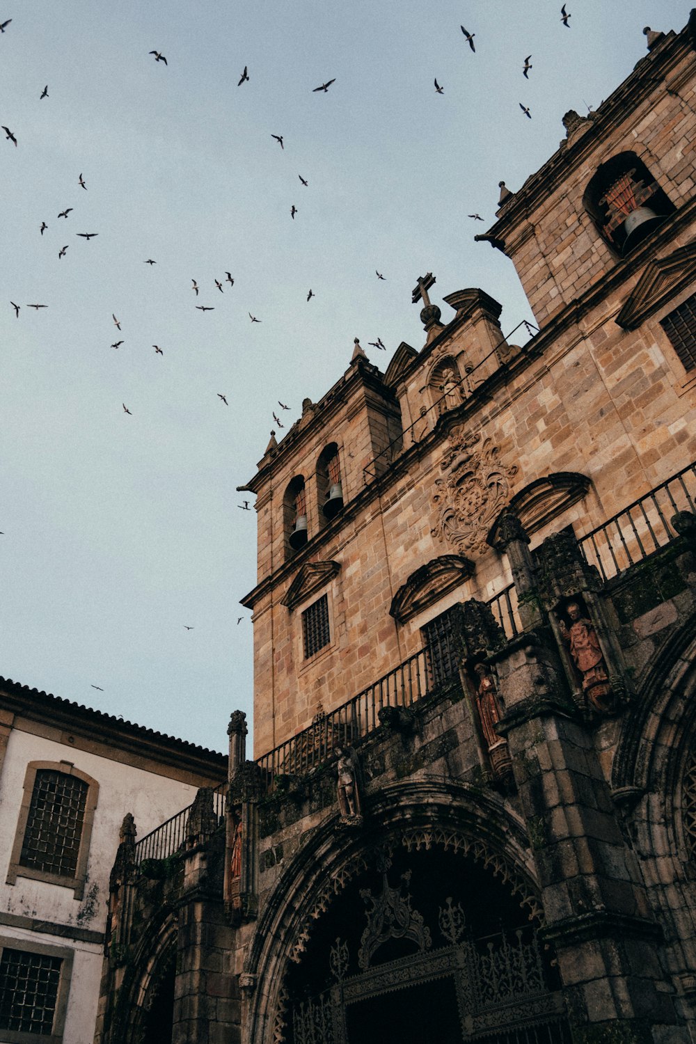 a flock of birds flying over a building