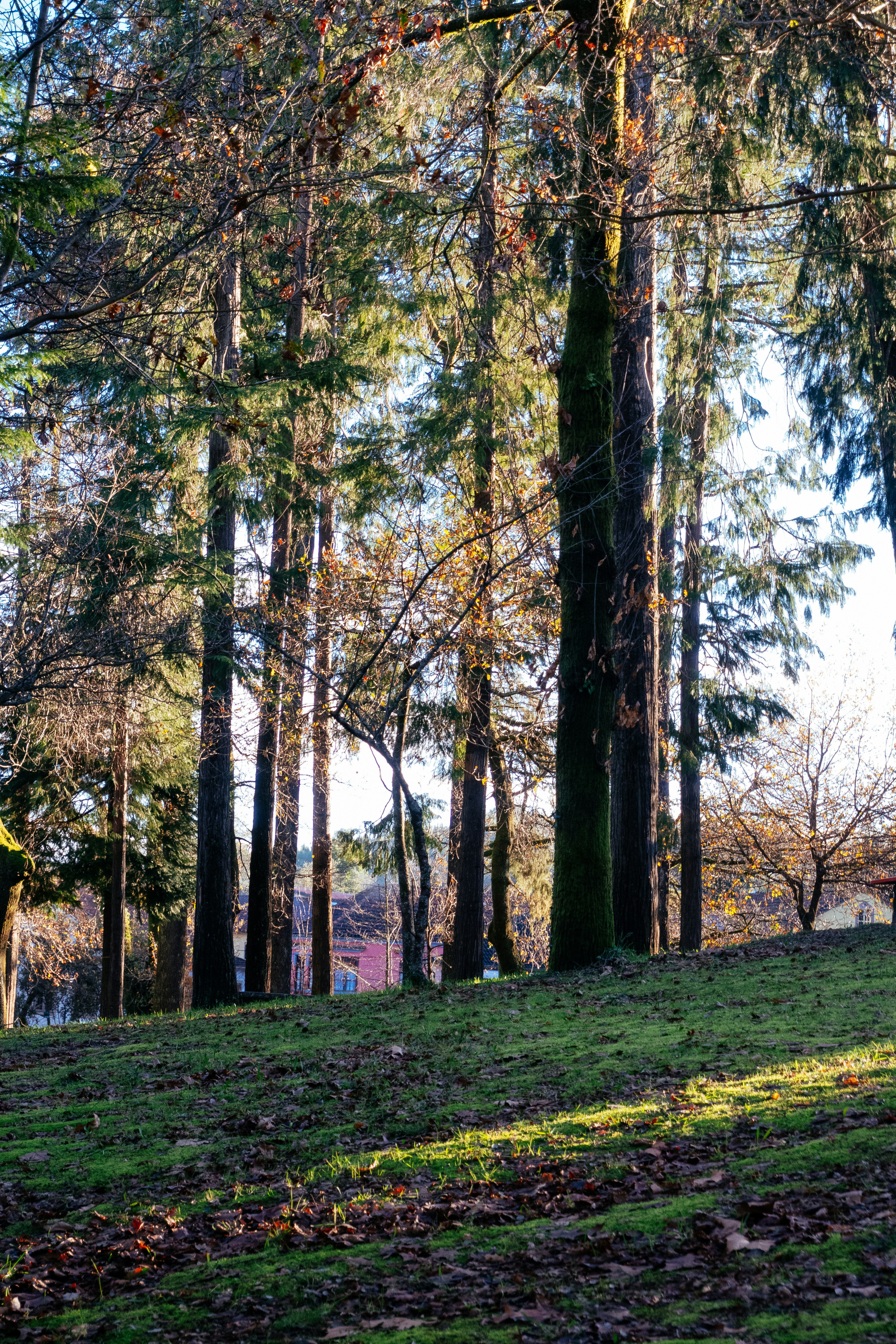 Photo by snapshot_journey