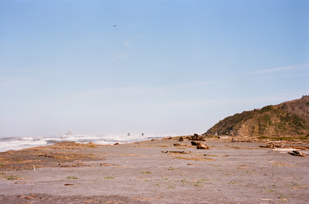 a person is flying a kite on the beach