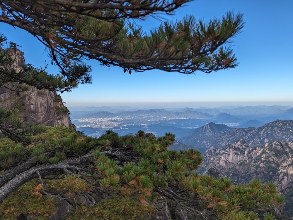 Une vue sur les montagnes d’un point de vue élevé