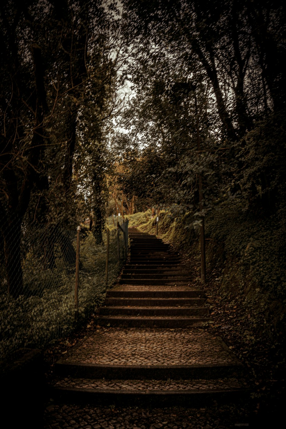 una rampa di scale che porta a una foresta