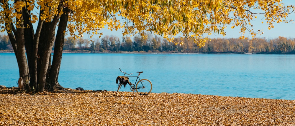 a bike parked next to a tree near a body of water