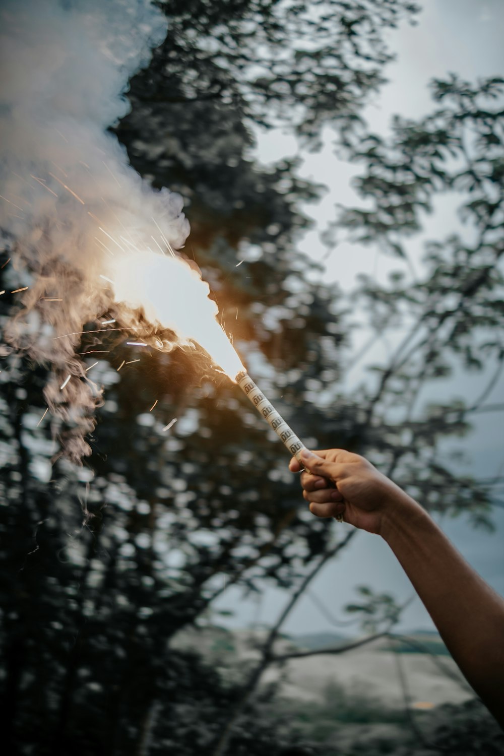 a person holding a sparkler in front of a tree