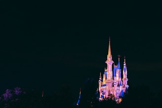 Magic Kingdom After Hours