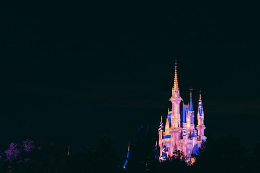 Magic Kingdom After Hours