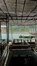 a view of a dock with boats in the water