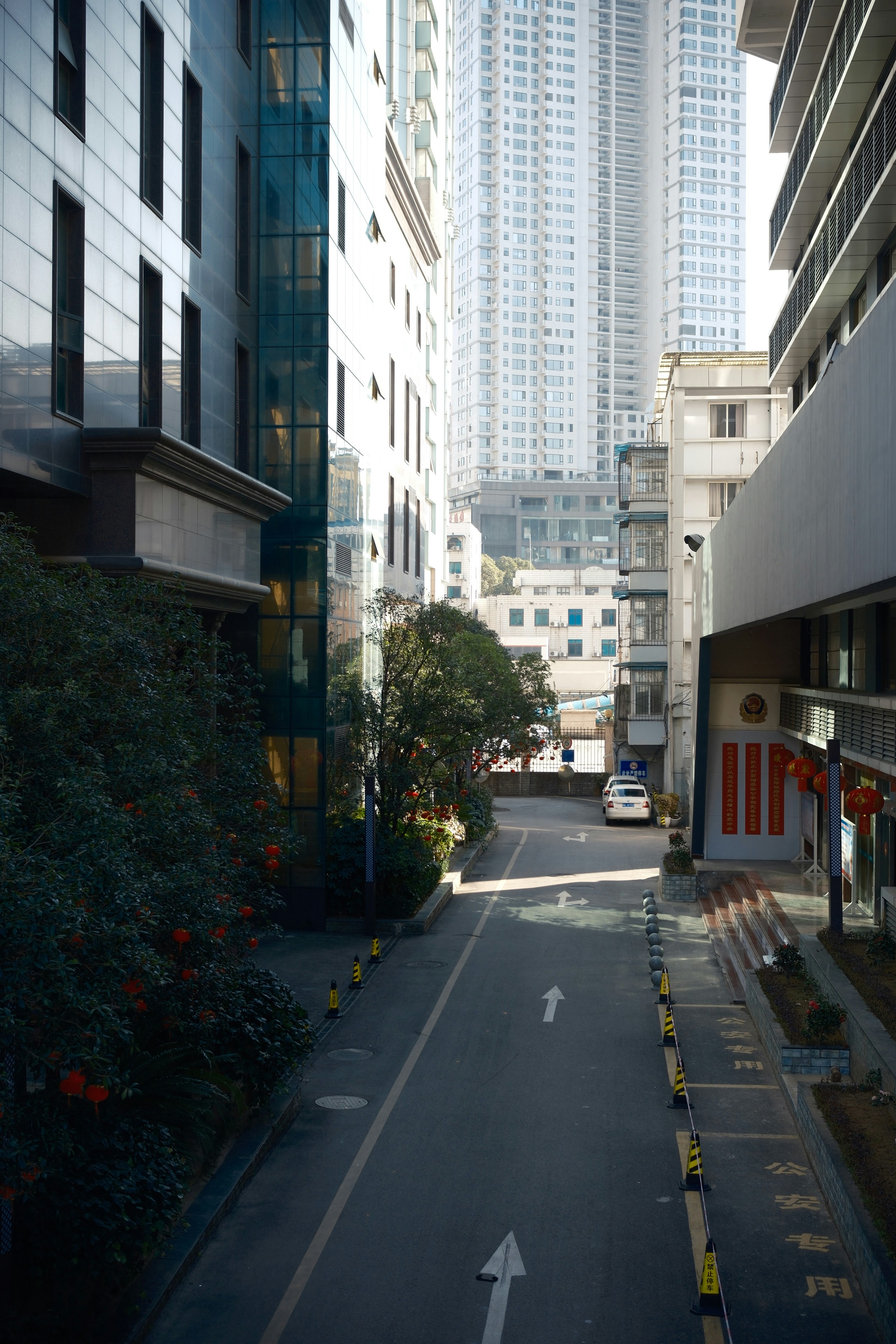 Photo by yokonoito0512