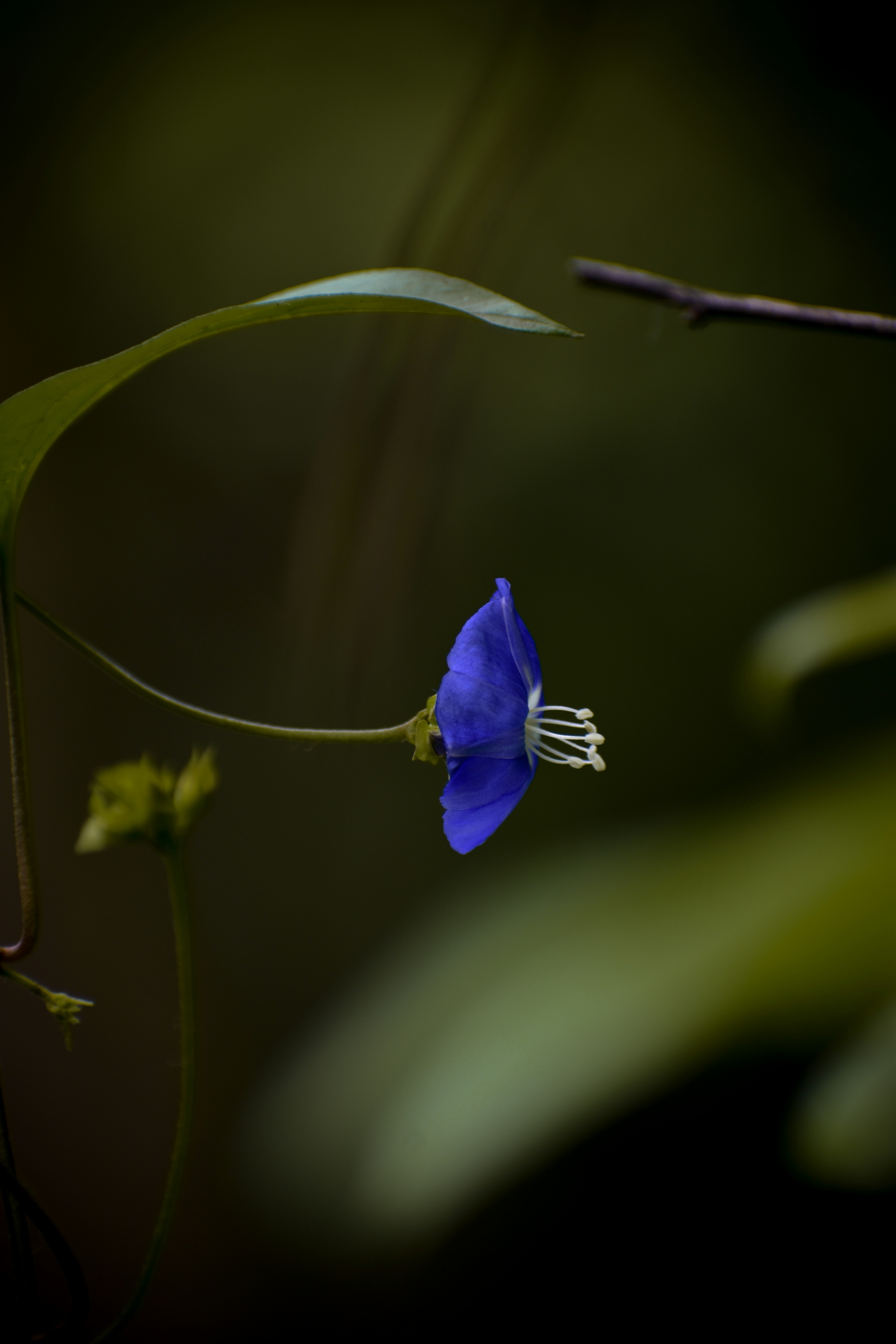 Photo by hacker_camerwork