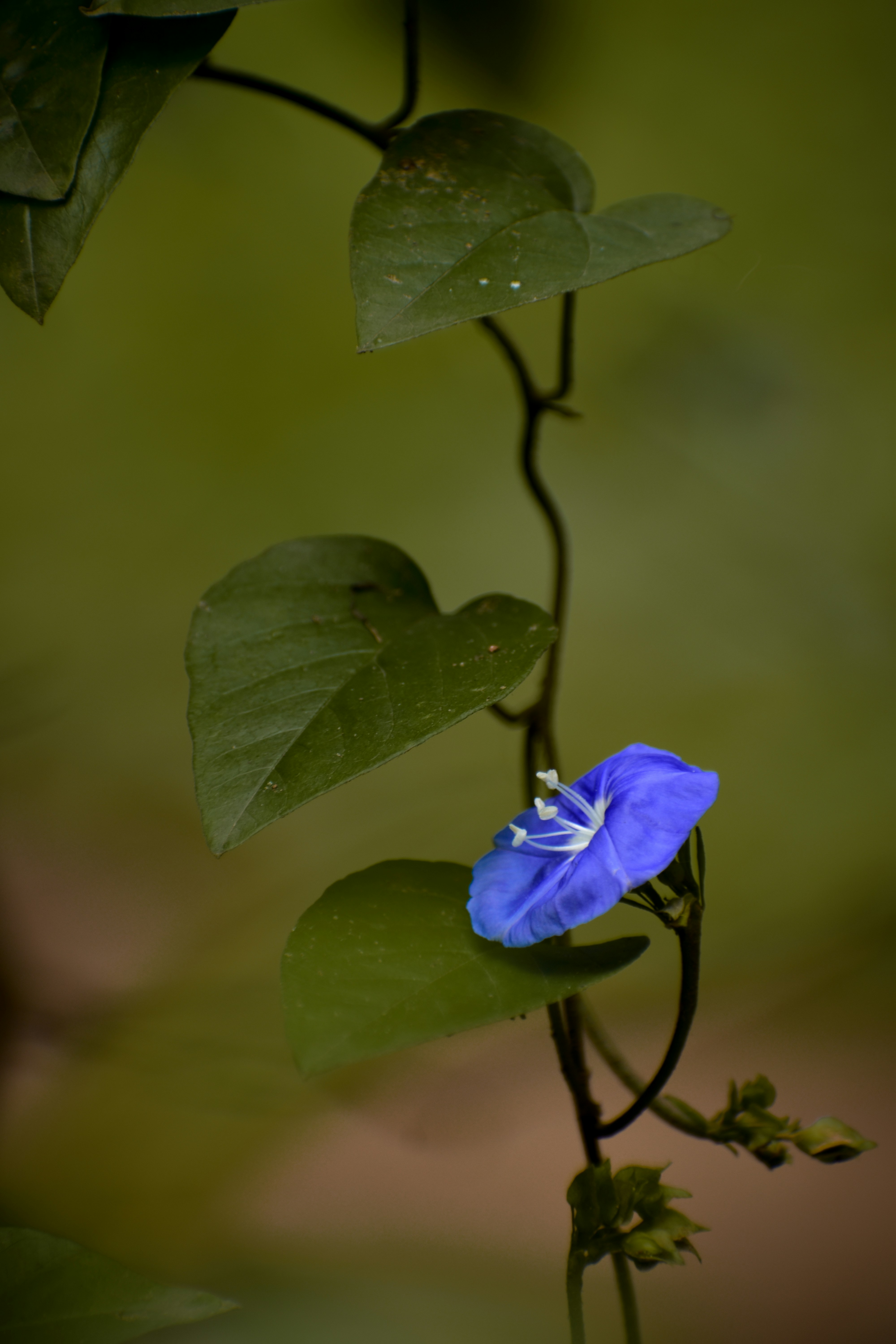 Photo by hacker_camerwork