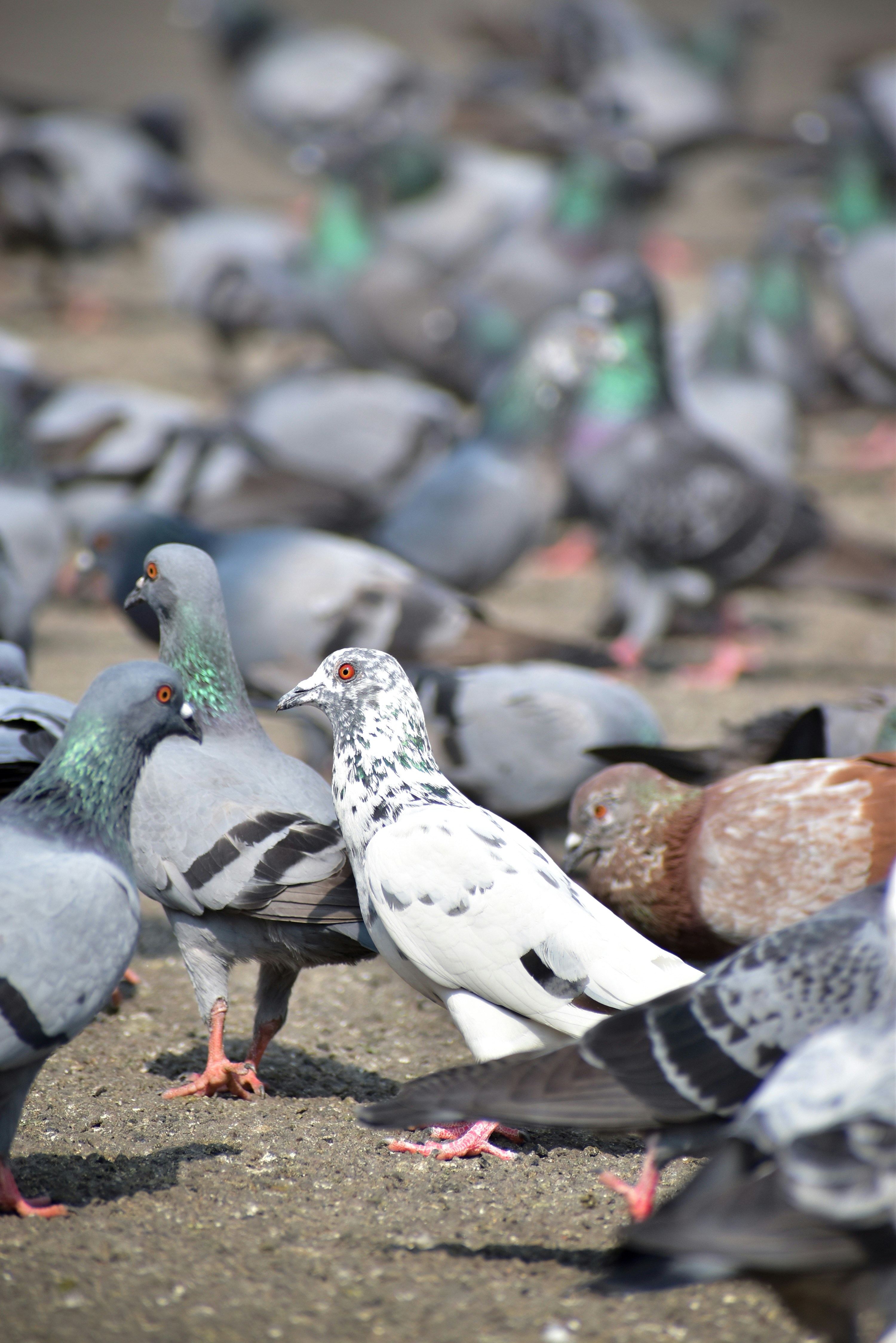 Photo by hacker_camerwork