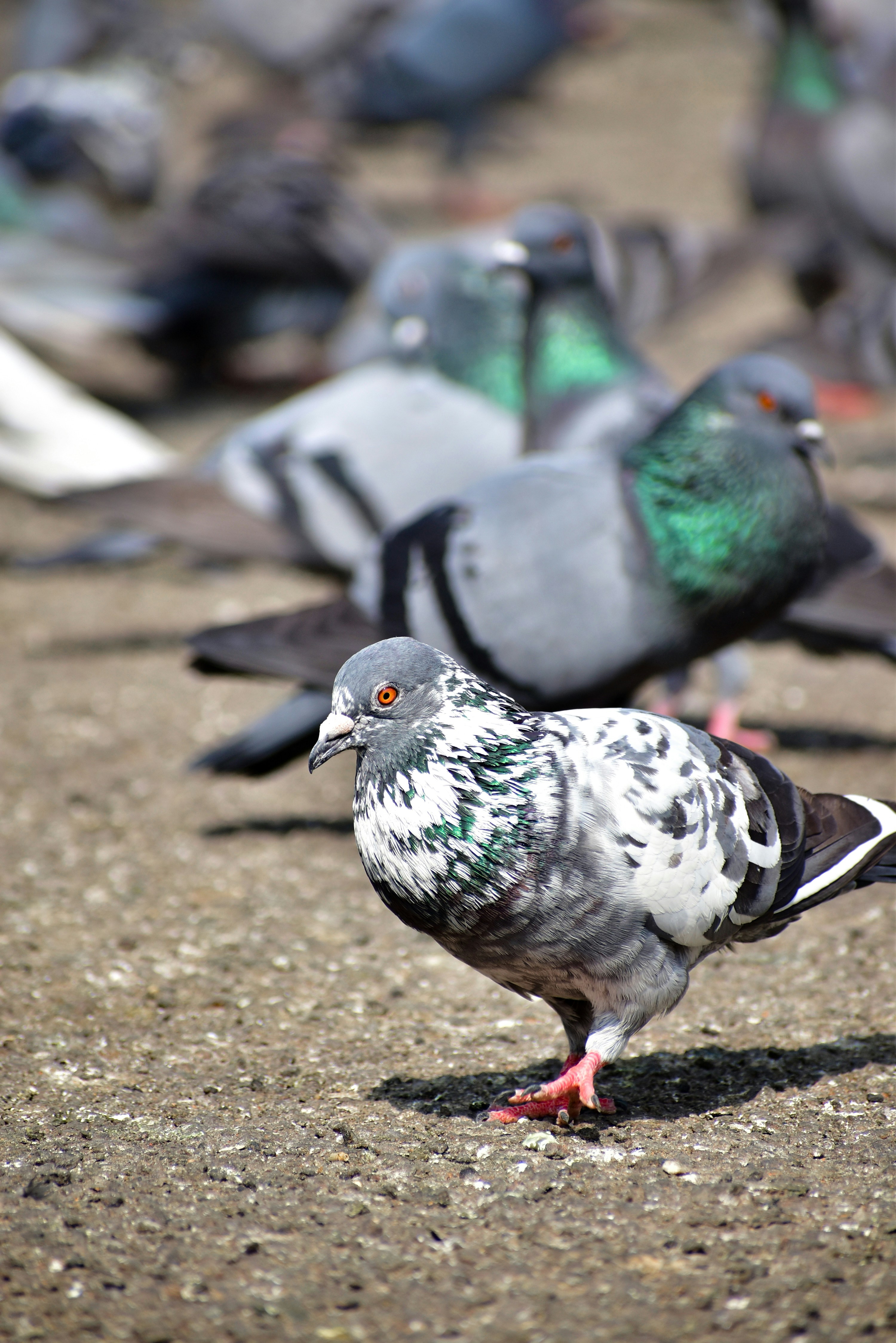 Photo by hacker_camerwork