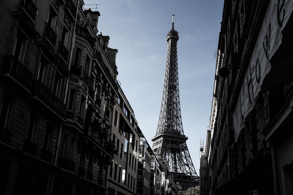 the eiffel tower towering over the city of paris