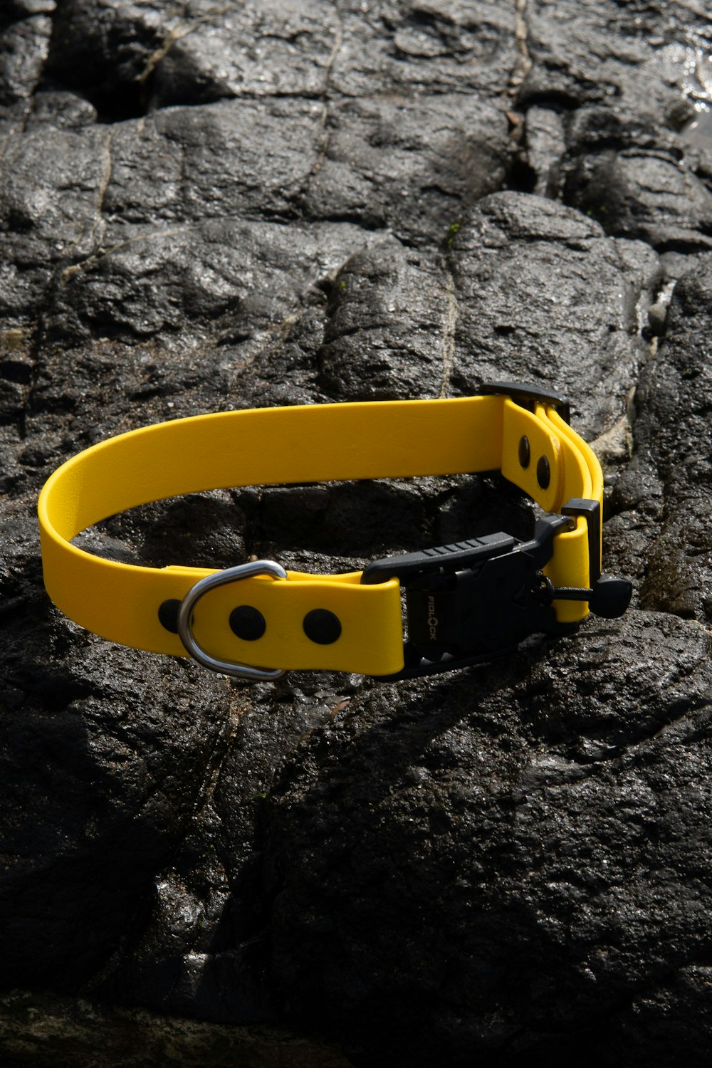a yellow dog collar sitting on top of a rock