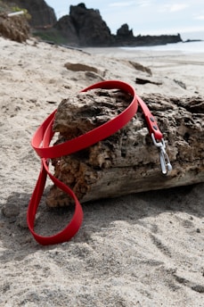 a red leash tied to a piece of driftwood on a beach