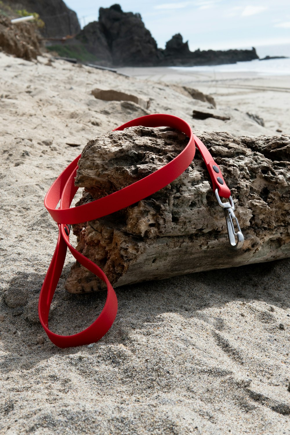 a red leash tied to a piece of driftwood on a beach