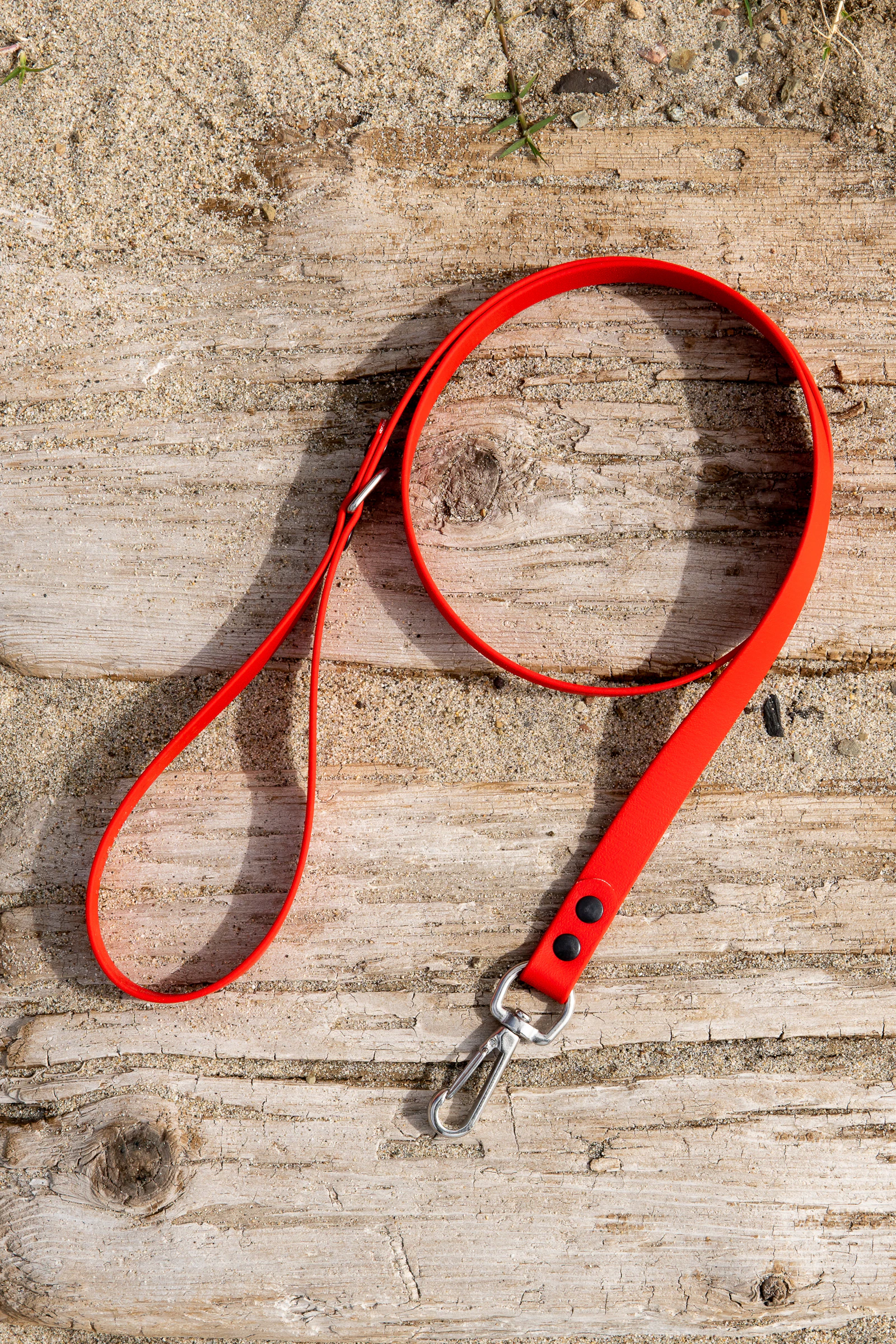 A coiled leather lead with a brass clip lying on weathered wood