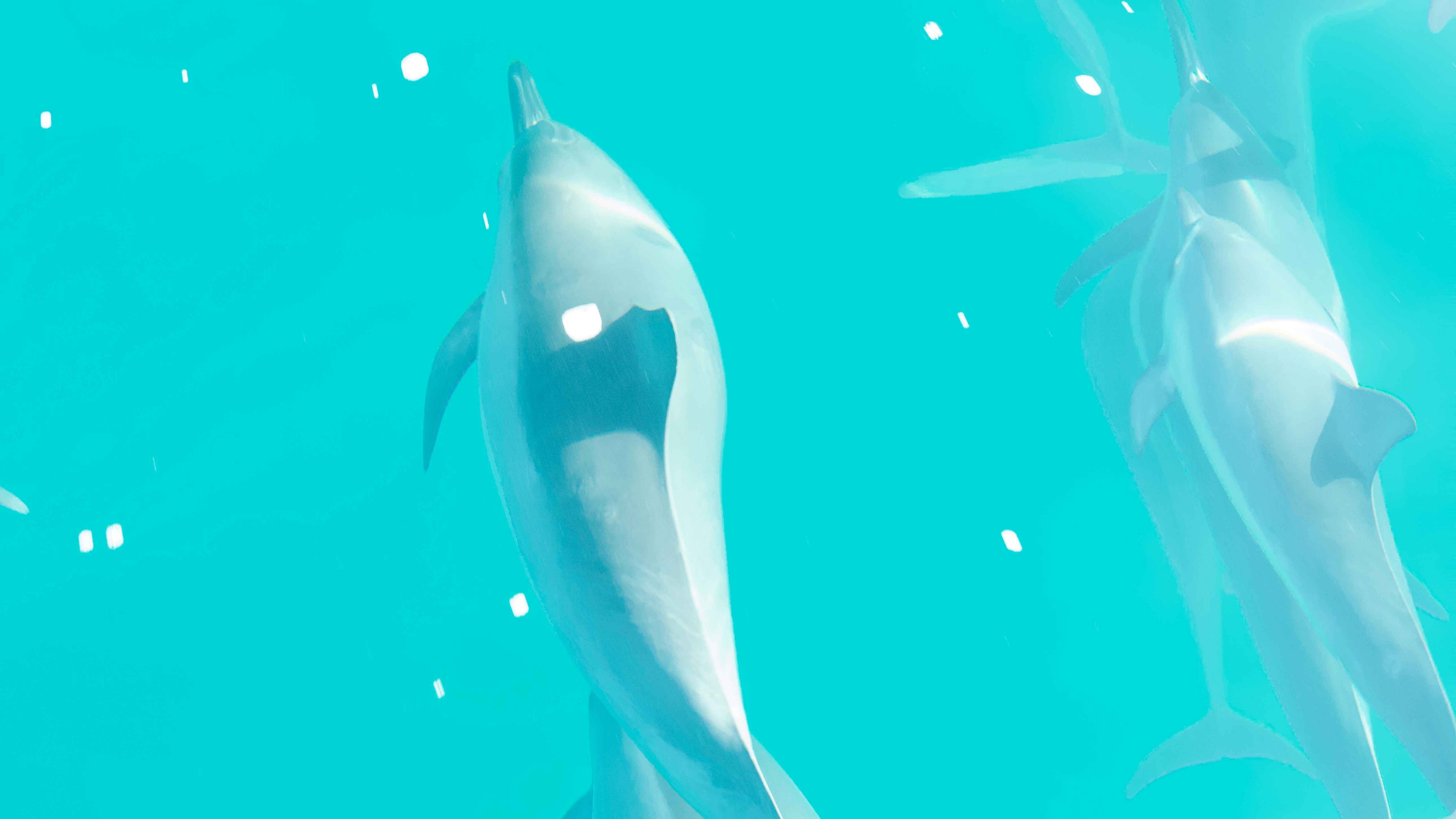 Anti-CZ Whale Loses Big: $61M in Profit Wiped Out As Ethereum and XRP Longs Collapse