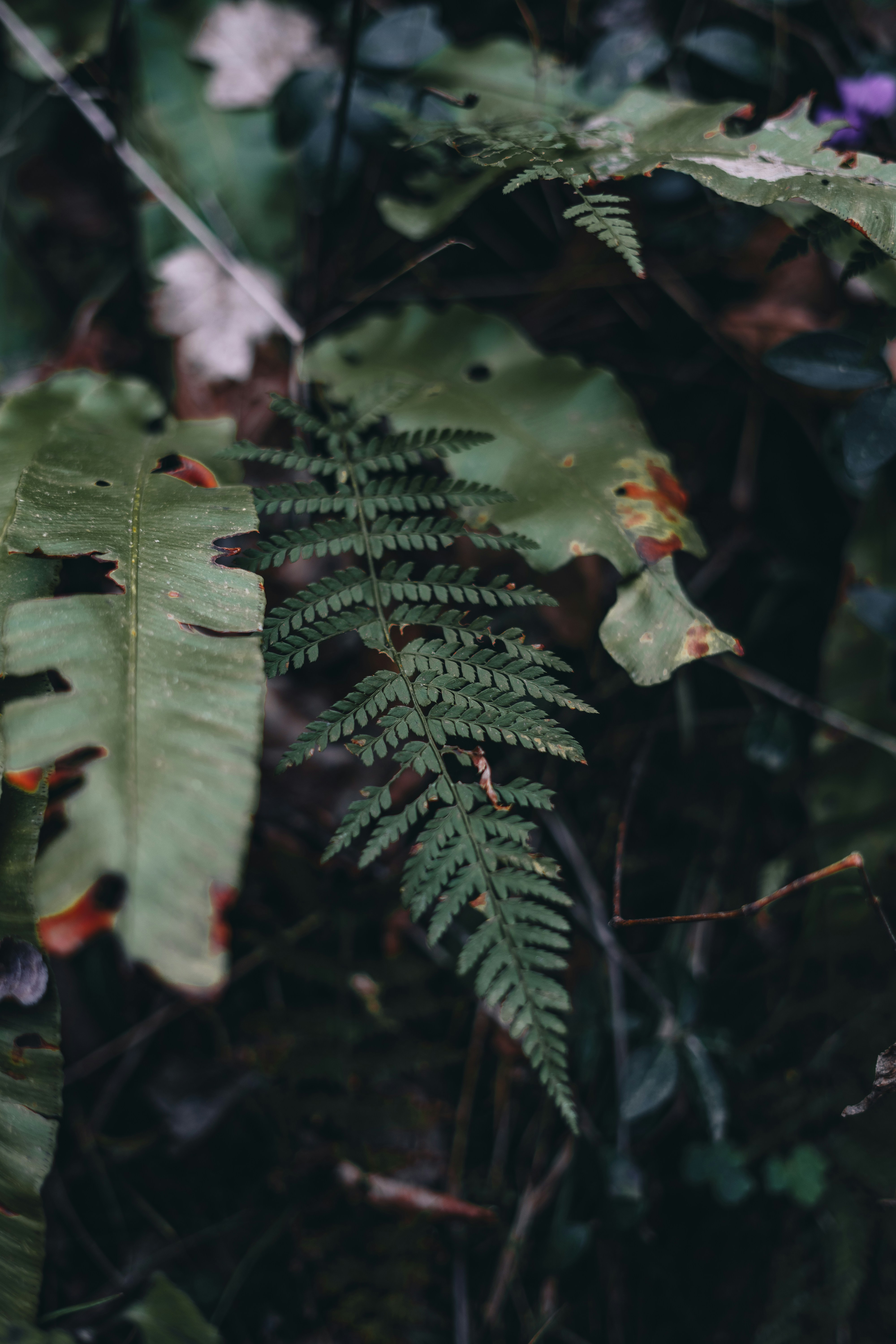 Photo by volkova_2897