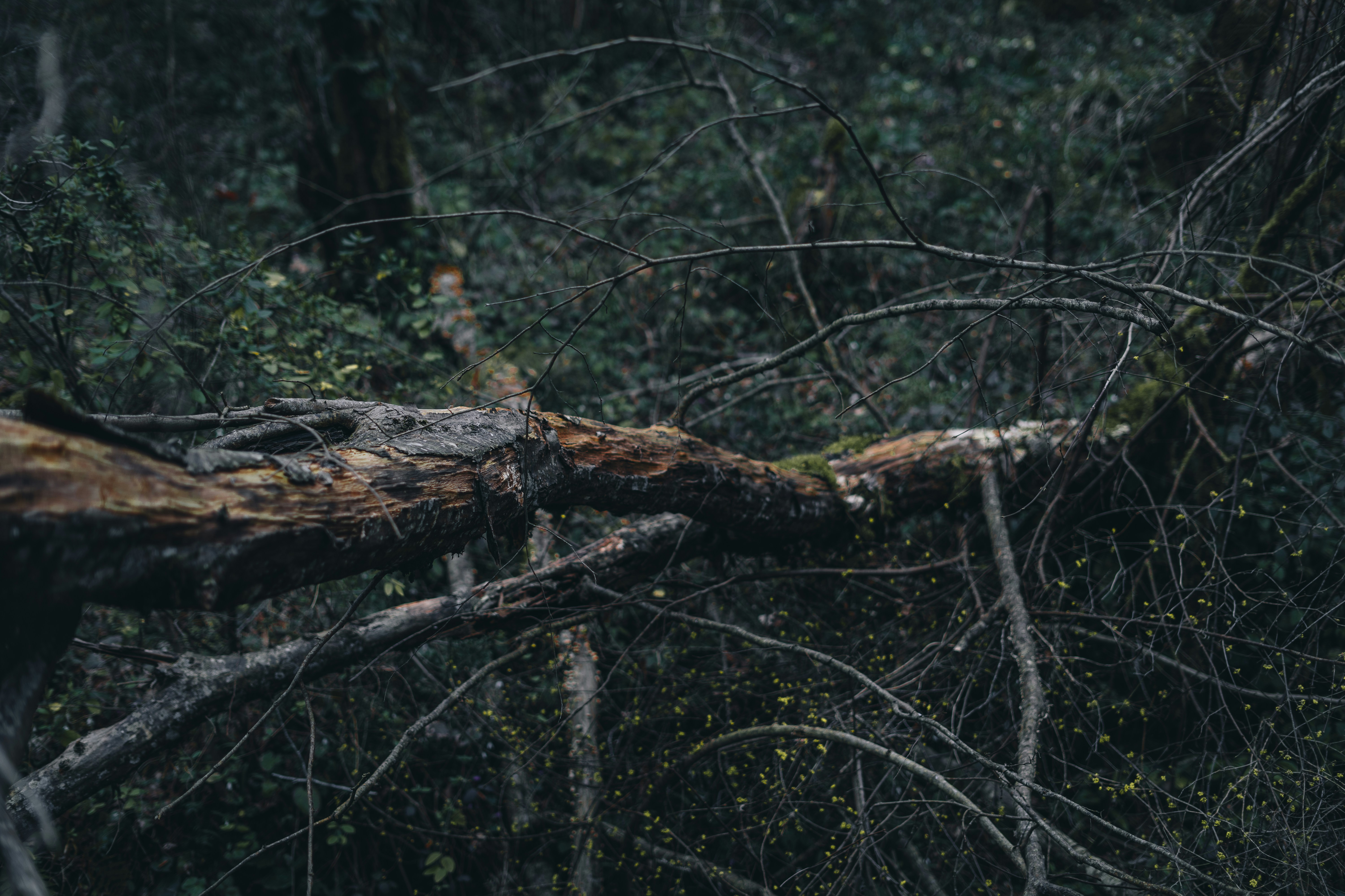 Photo by volkova_2897