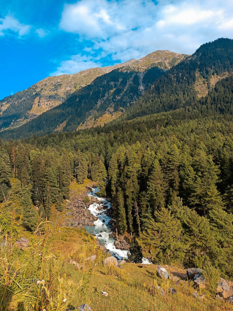 Pahalgam Valley Trek