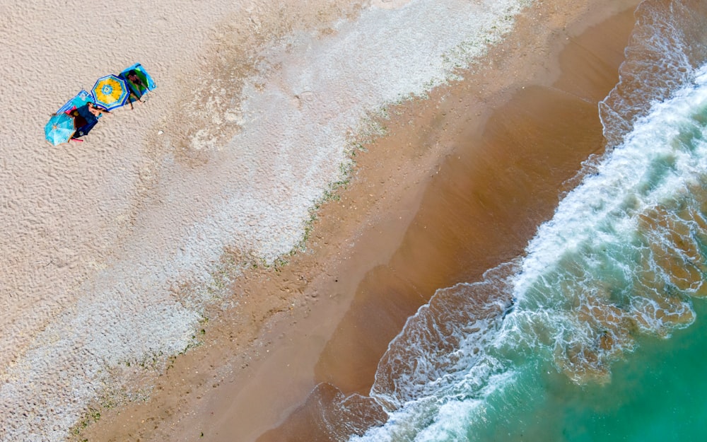 una veduta aerea di una spiaggia con un ombrellone